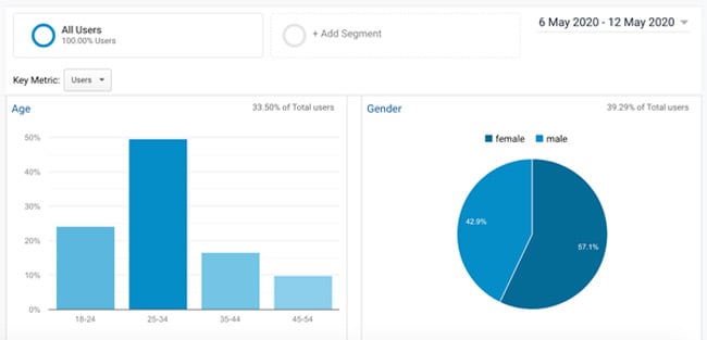 audience segments