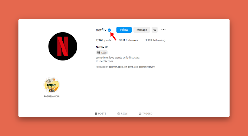 how-to-get-verified-on-instagram-netflix