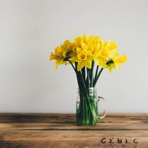 sm-calendar__annie-spratt__flowers___unsplash__800