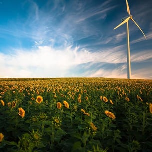 celebrate clean air day - Gustavo Quepon via Unsplash