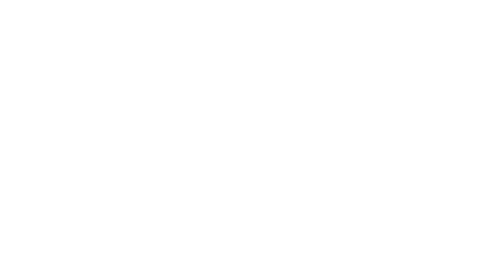 speedie consulting